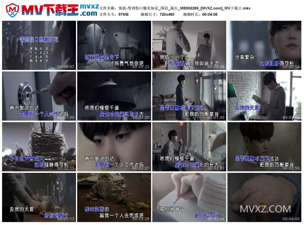 张跃-等到伤口貌美如花_国语_流行_MB502289